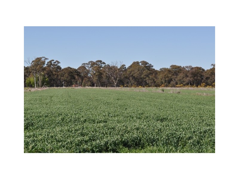 2340 Katamatite Shepparton Road, Tallygaroopna VIC 3634