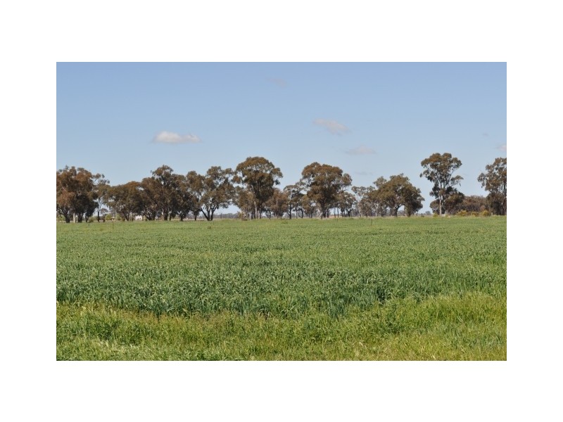 2340 Katamatite Shepparton Road, Tallygaroopna VIC 3634