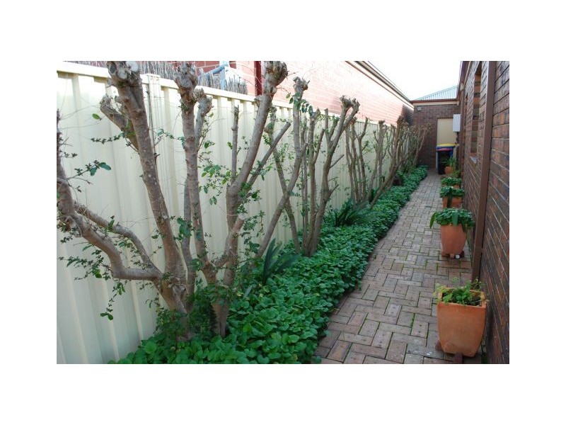 4 Lewis Court, Mooroopna VIC 3629