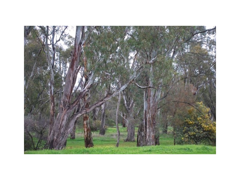 1 Talinga Crescent, Shepparton VIC 3630