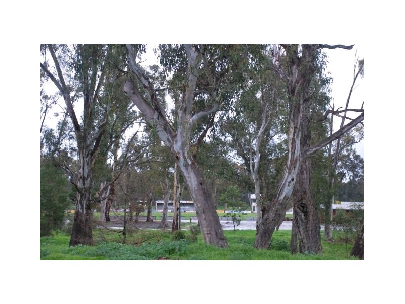 1 Talinga Crescent, Shepparton VIC 3630