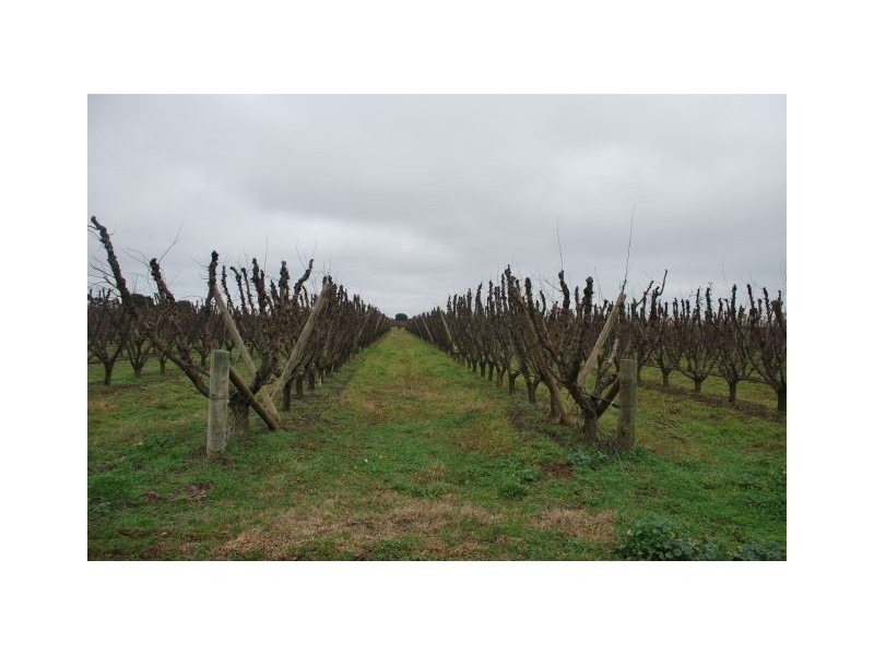 350 Channel Road, Orrvale VIC 3631