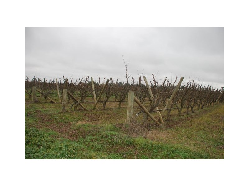 350 Channel Road, Orrvale VIC 3631