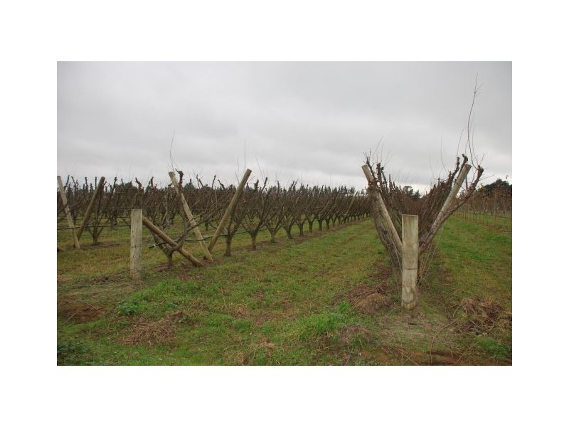 350 Channel Road, Orrvale VIC 3631