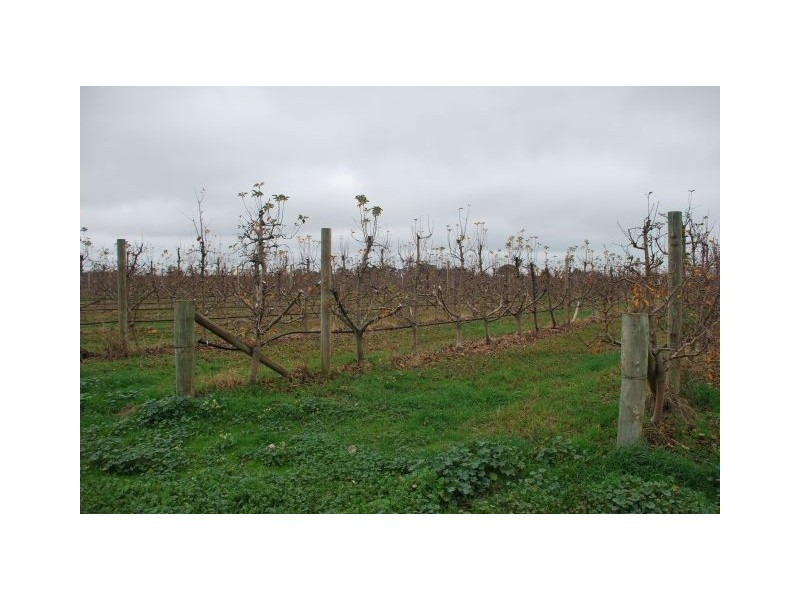 350 Channel Road, Orrvale VIC 3631