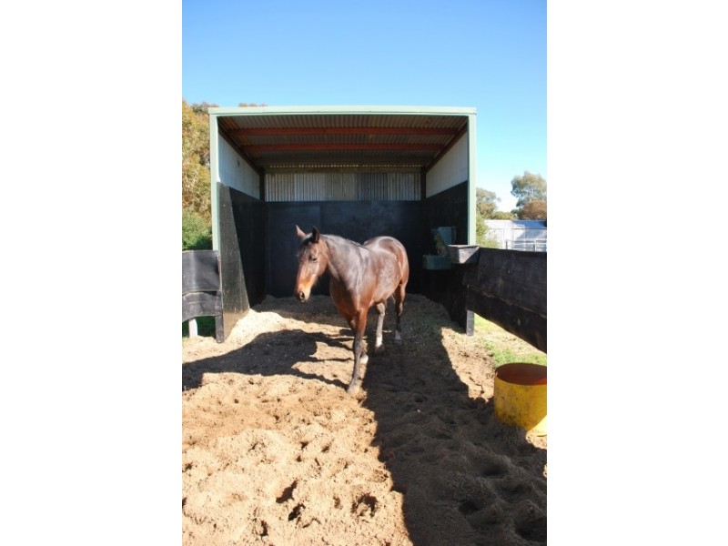 2190 Curr Road, Tongala VIC 3621