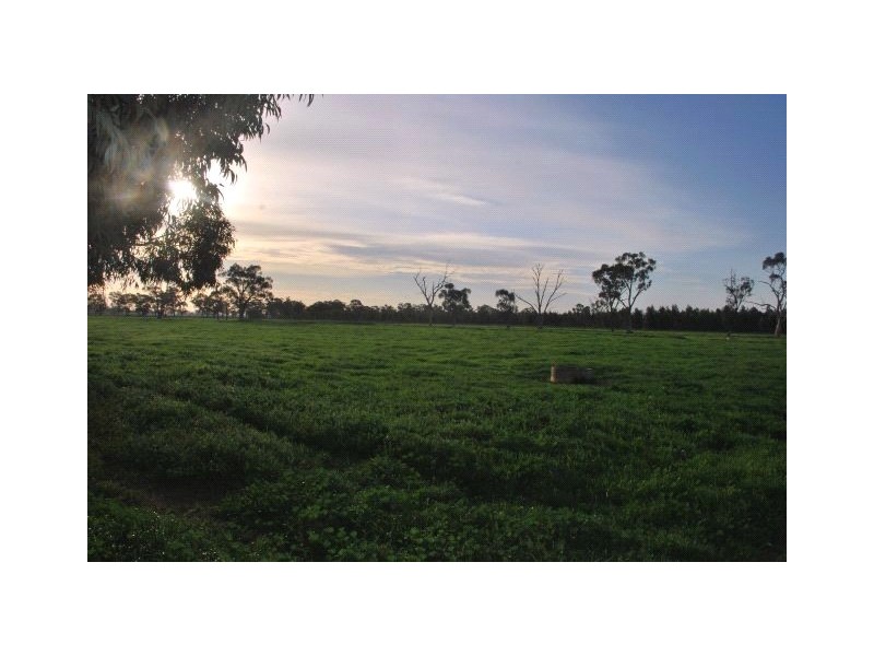 1410 Byrneside Gillieston Road, Undera VIC 3629