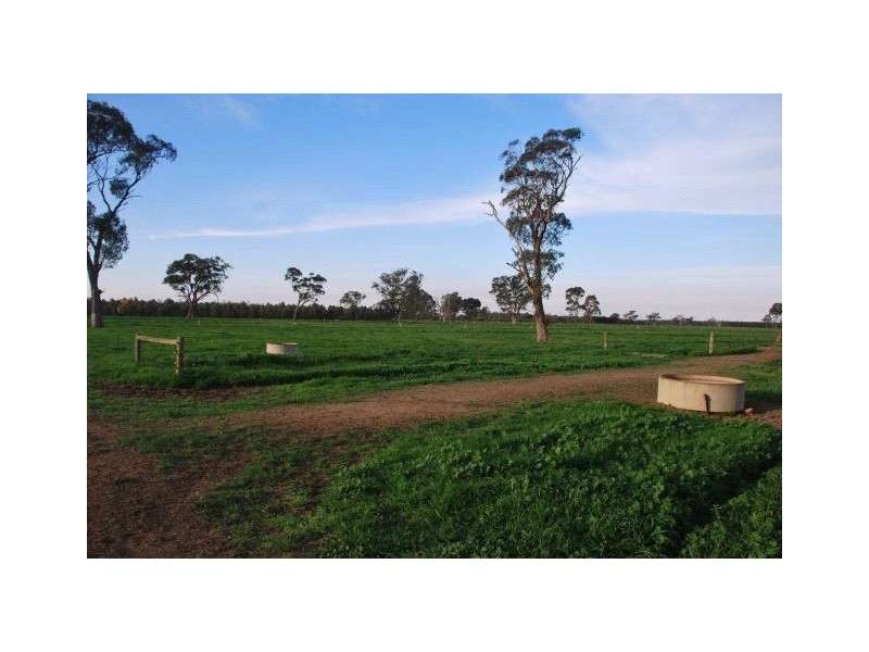 1410 Byrneside Gillieston Road, Undera VIC 3629