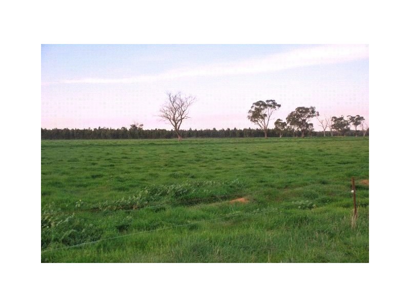 1410 Byrneside Gillieston Road, Undera VIC 3629