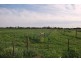 120 Farrell Road, Congupna VIC 3633
