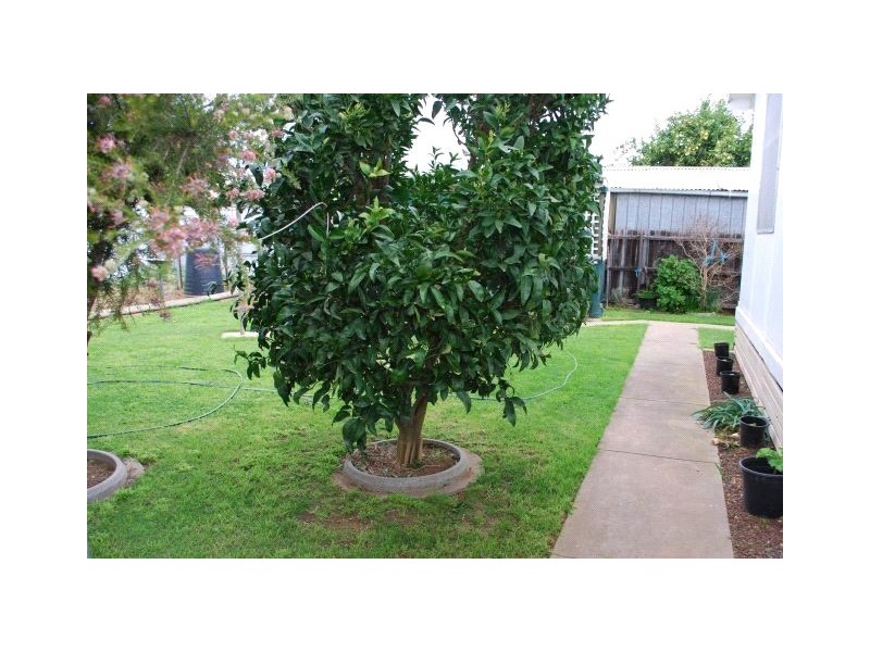 6 Brooks Court, Tatura VIC 3616