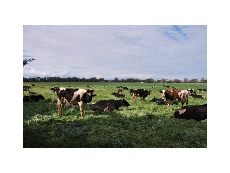 60& 62 Buchanan Road, Bunbartha VIC 3634