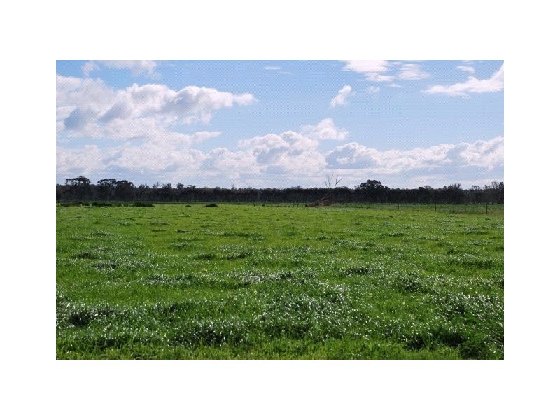 60& 62 Buchanan Road, Bunbartha VIC 3634