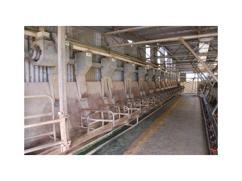 60& 62 Buchanan Road, Bunbartha VIC 3634