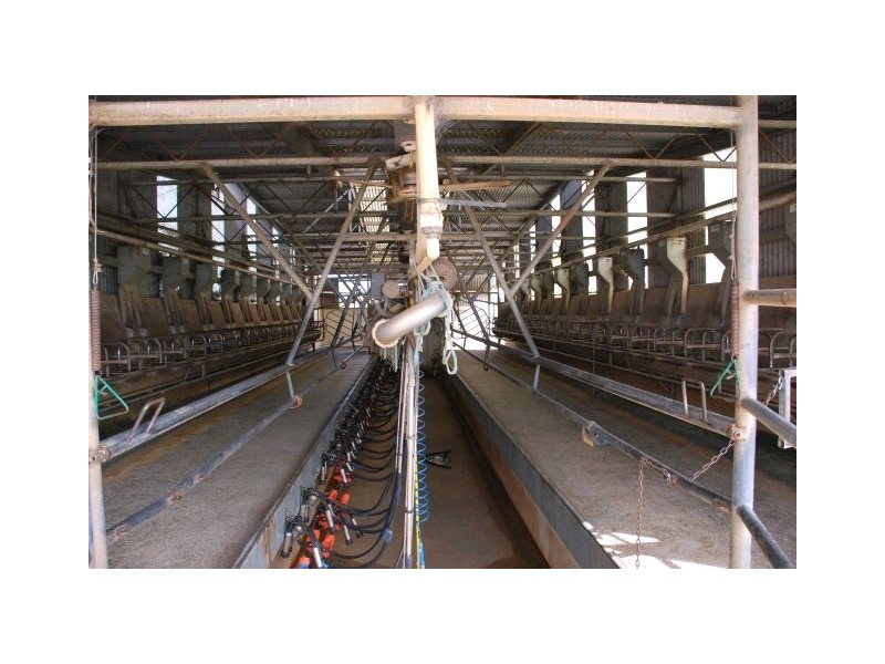 60& 62 Buchanan Road, Bunbartha VIC 3634