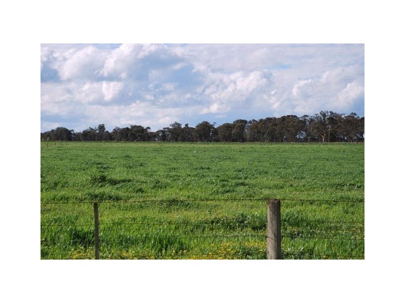 60& 62 Buchanan Road, Bunbartha VIC 3634