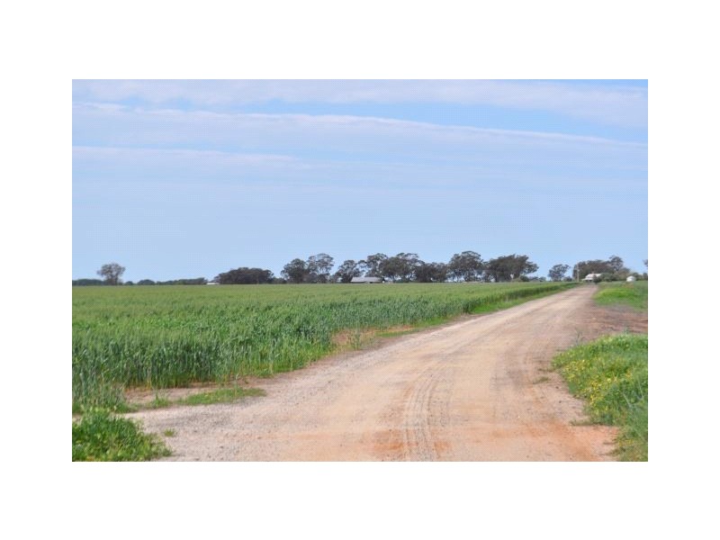 4067 Shepparton-Barmah Road, Kaarimba VIC 3635