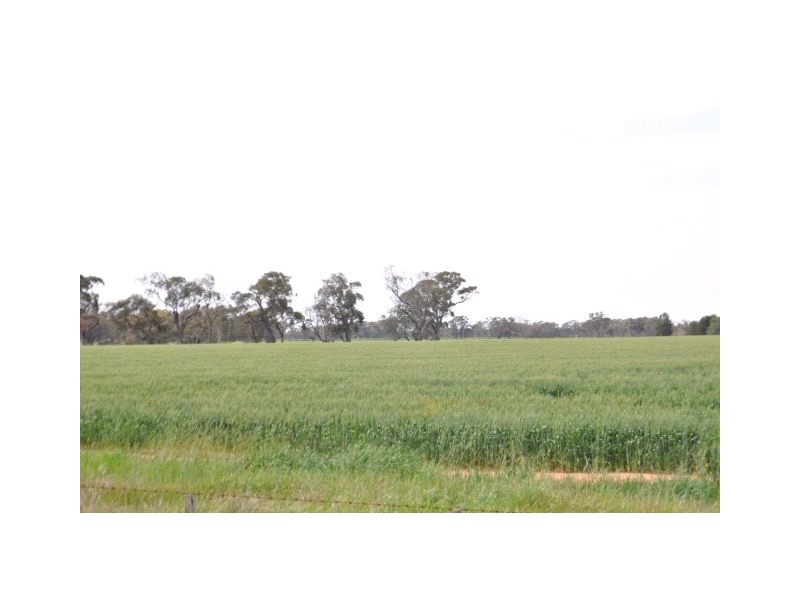 4067 Shepparton-Barmah Road, Kaarimba VIC 3635