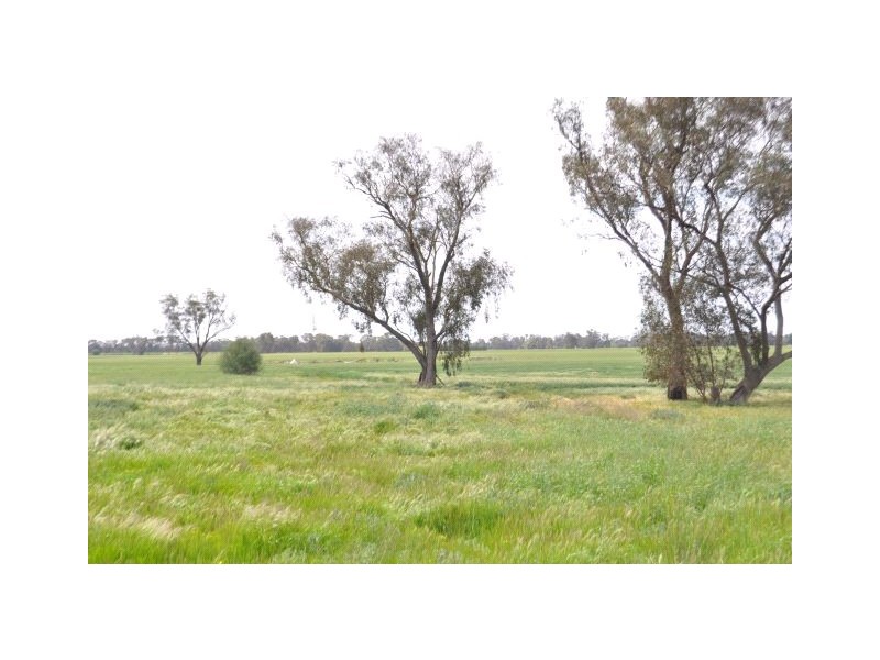 4067 Shepparton-Barmah Road, Kaarimba VIC 3635