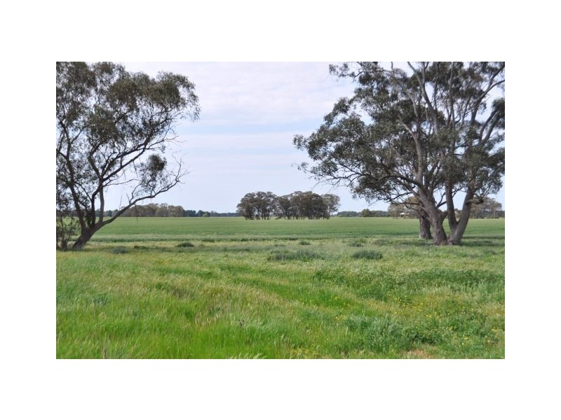 4067 Shepparton-Barmah Road, Kaarimba VIC 3635