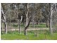 4067 Shepparton-Barmah Road, Kaarimba VIC 3635