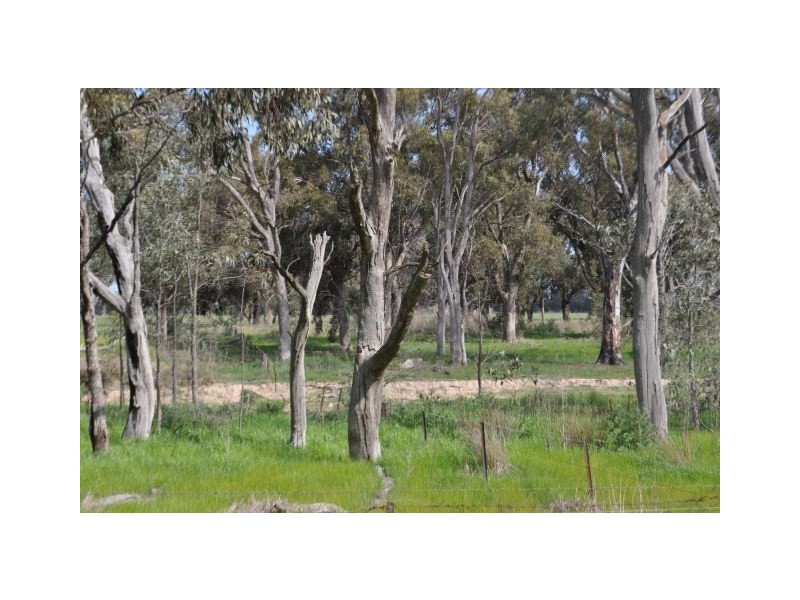 4067 Shepparton-Barmah Road, Kaarimba VIC 3635