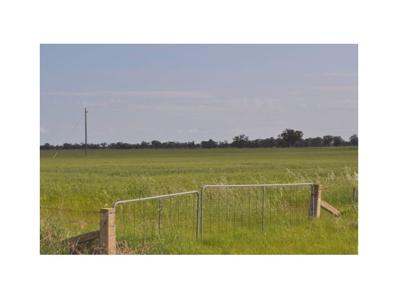 4067 Shepparton-Barmah Road, Kaarimba VIC 3635