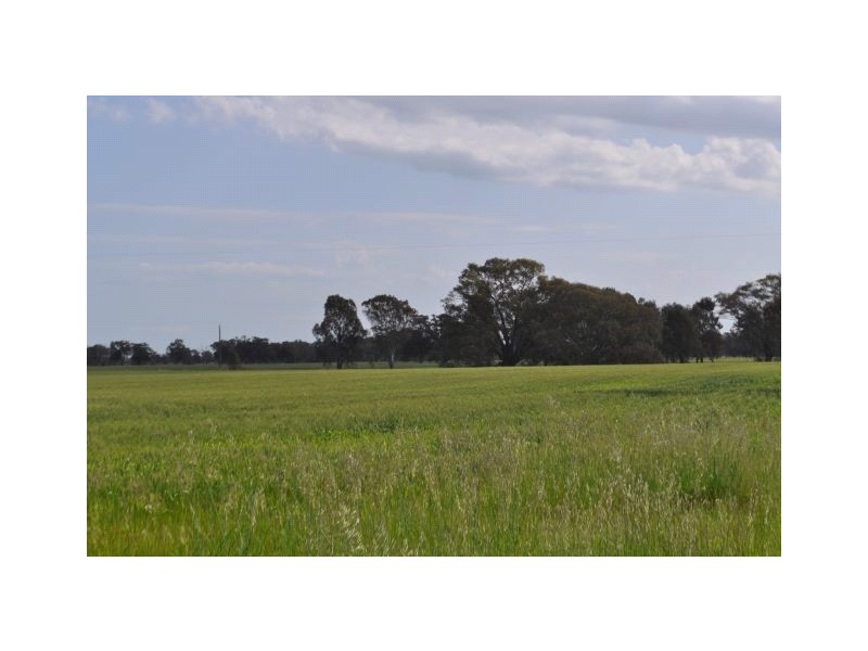 4067 Shepparton-Barmah Road, Kaarimba VIC 3635