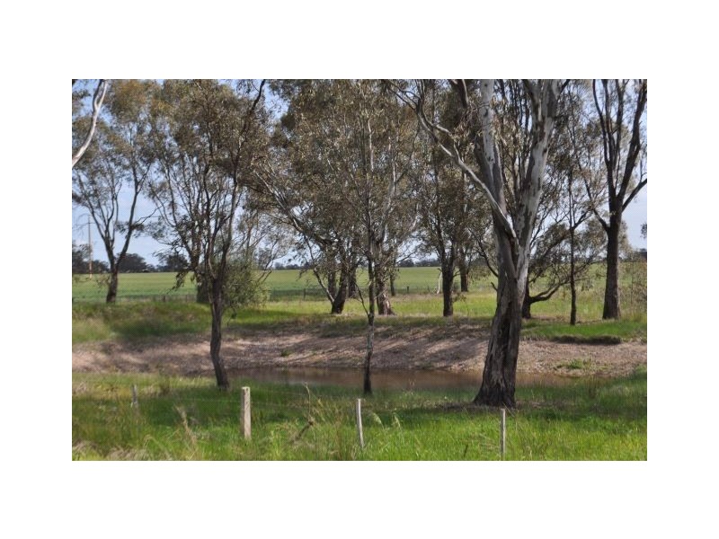 4067 Shepparton-Barmah Road, Kaarimba VIC 3635