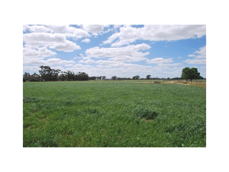 851 Spences Road, Katunga VIC 3640