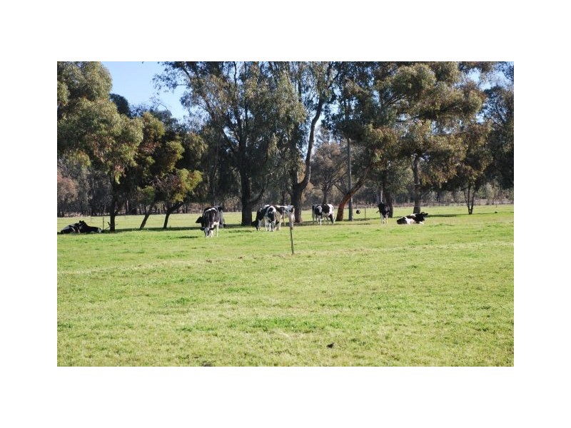 235 Sampson Road, Numurkah VIC 3636