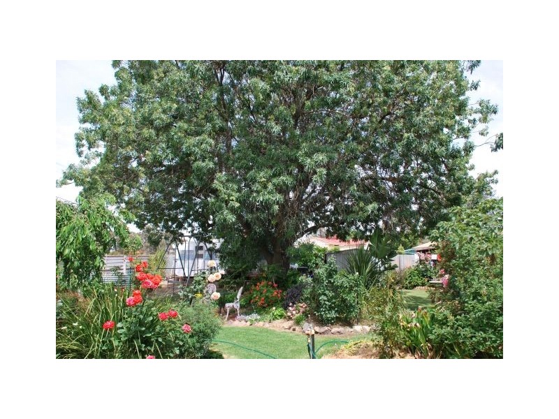 76 Robertson Street, Nathalia VIC 3638
