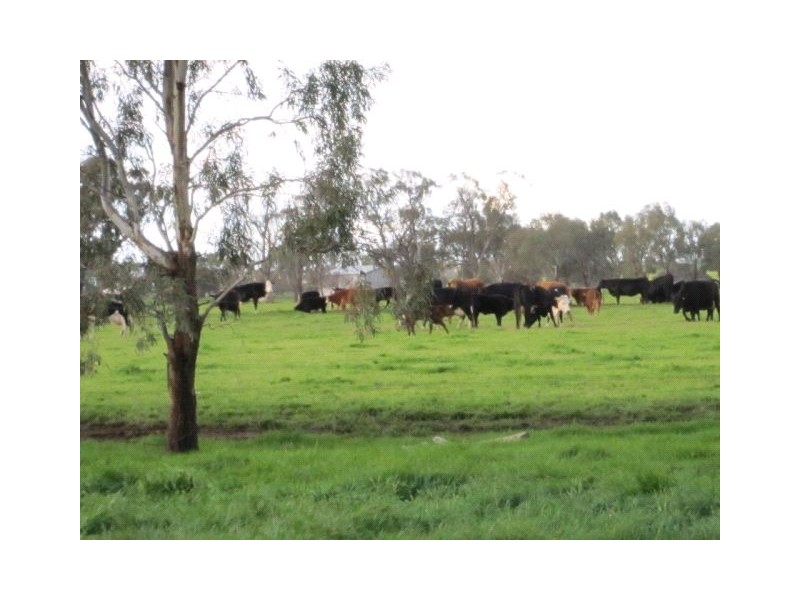 145 Lanes Road, Katandra VIC 3634