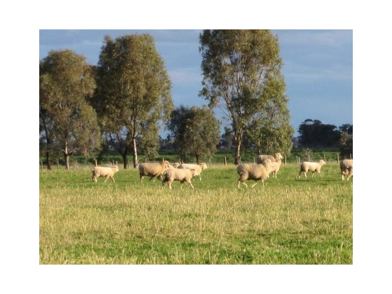 145 Lanes Road, Katandra VIC 3634