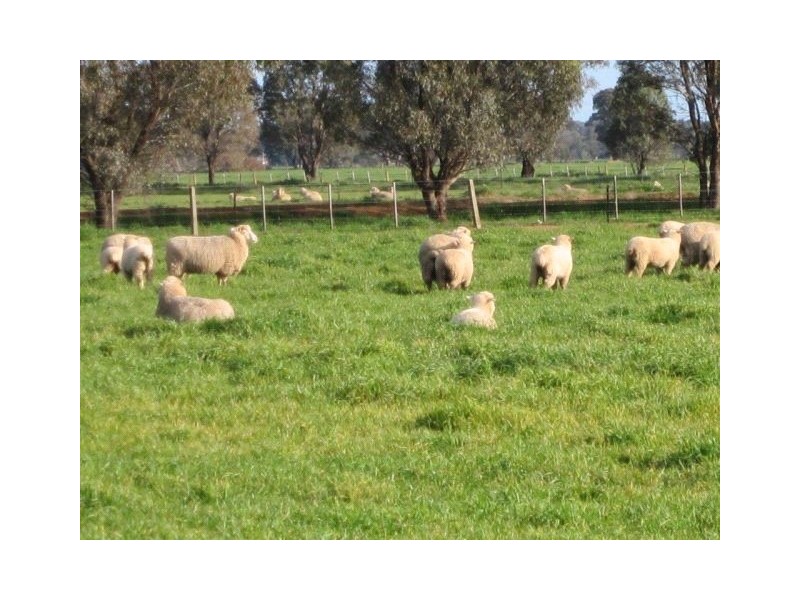 145 Lanes Road, Katandra VIC 3634