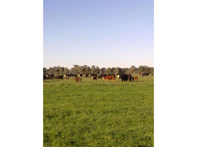 145 Lanes Road, Katandra VIC 3634