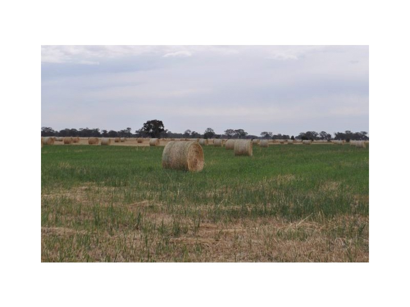 145 Lanes Road, Katandra VIC 3634