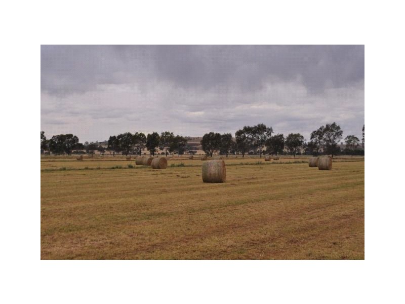 145 Lanes Road, Katandra VIC 3634