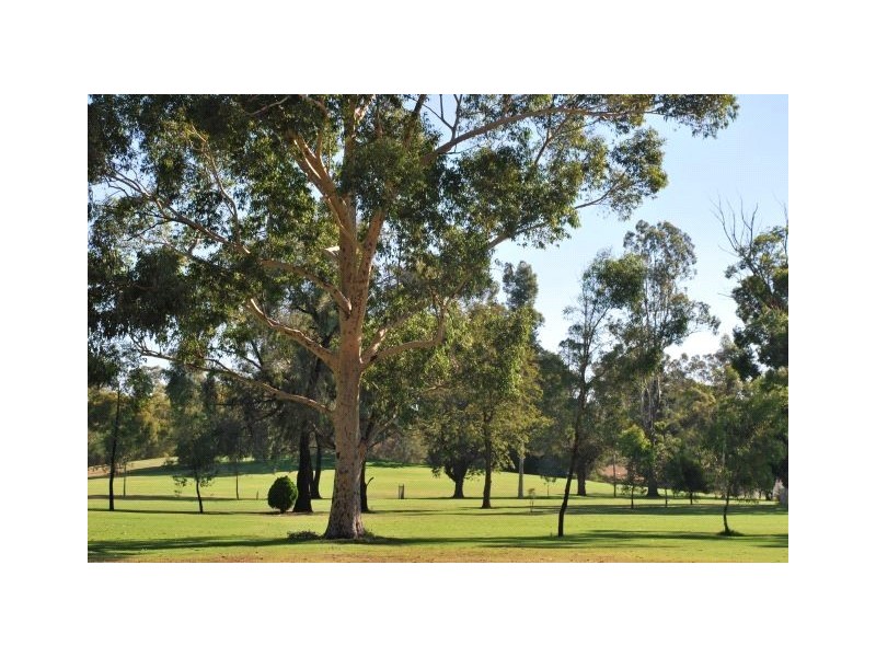 1 Shalimar Place, Shepparton VIC 3630