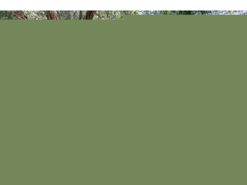 32 Duncan Street, Murtoa VIC 3390