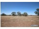 3753 Harrow – Clear Lake Road, Toolondo VIC 3401