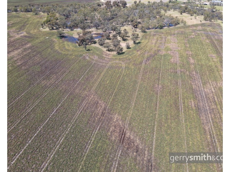 31 Drung – Jung Road LONGERENONG, Drung VIC 3401