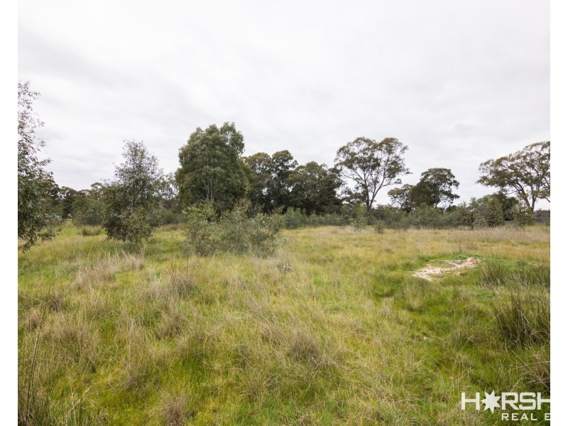 Lot 45 Sims Lane, Homebush VIC 3465