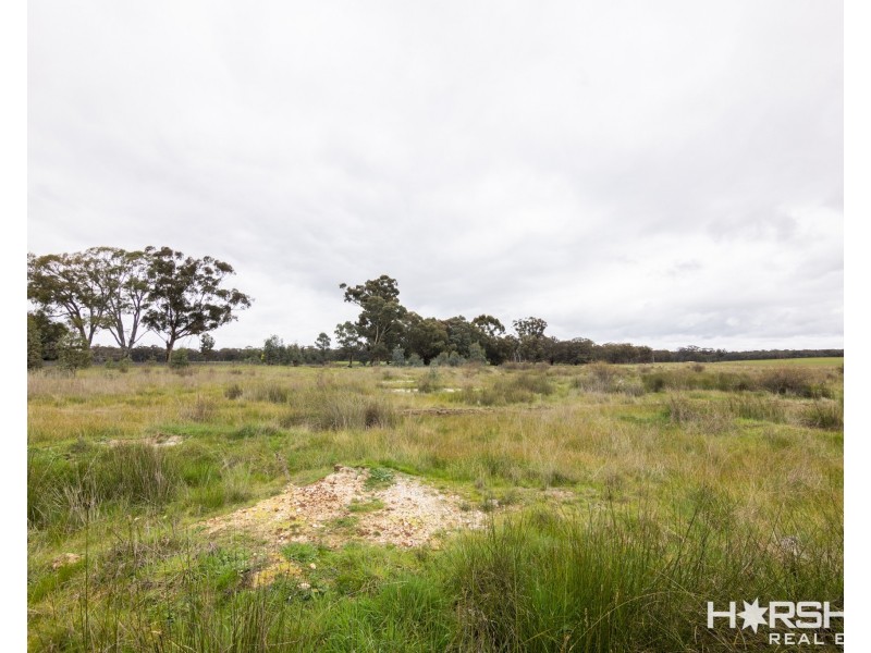 Lot 45 Sims Lane, Homebush VIC 3465