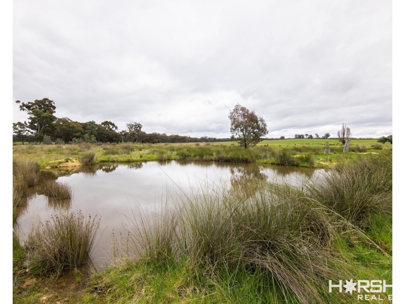 Lot 45 Sims Lane, Homebush VIC 3465