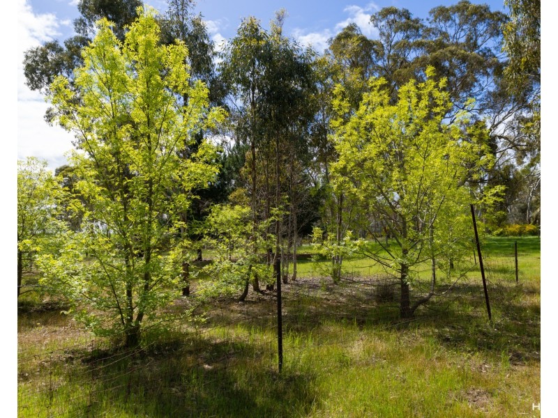 1, 3 & 4 Hill Climb Road, Harrow VIC 3317