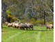 1, 3 & 4 Hill Climb Road, Harrow VIC 3317
