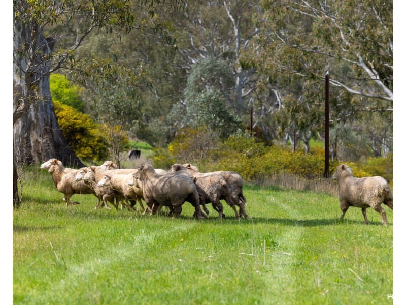 1, 3 & 4 Hill Climb Road, Harrow VIC 3317