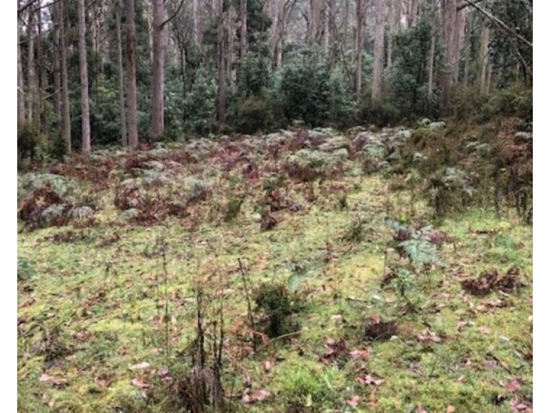 Lot 1 Mountains Road, Cherokee VIC 3434