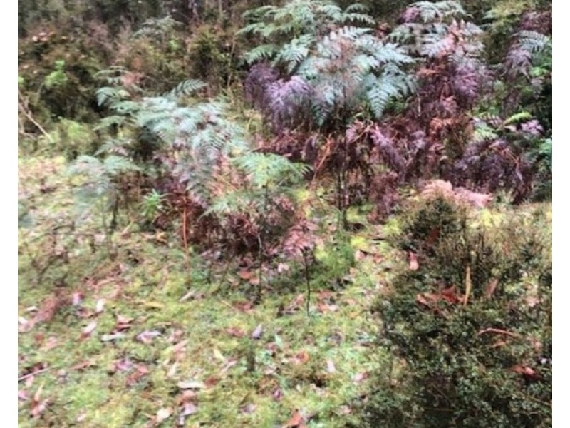 Lot 1 Mountains Road, Cherokee VIC 3434